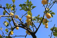 in den vatikanischen Museen