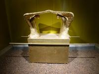 Timna Park - Stiftszelt