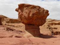 Timna Park - Pilz