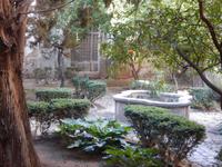 Klostergarten Valdemossa