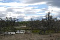 unterwegs nach Puerto Natales