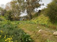 Wanderung entlang der Chadwick Lakes