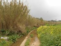 Wanderung entlang der Chadwick Lakes (hier war der Weg nur noch Schlamm...!)