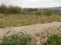 Wanderung hinauf nach Mtarfa