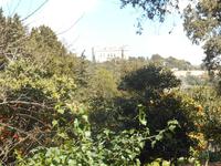 Buskett Gardens mit Großmeisterschloss 