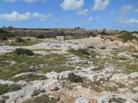 Wanderung von Buskett zu den Dingli-Klippen