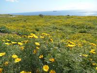 Wanderung nach Ghar Lapsi