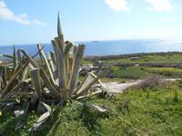Wanderung nach Ghar Lapsi