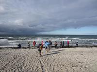 Am rauen Strand von Hiddensee
