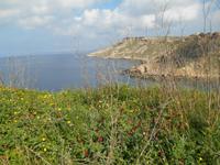 Il-Bajja Ta´Fomm ir-Rih