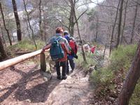 Schwarzbergweg nach Stadt Wehlen