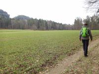 Auf dem Weg zum Pfaffenstein