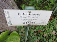 ...Auflösung...