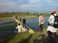 abendlicher Spaziergang durch ein Tharu-Dorf