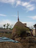 abendlicher Spaziergang durch ein Tharu-Dorf