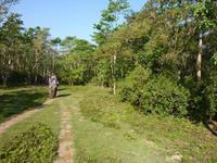Elefantenausritt im Chitwan NP