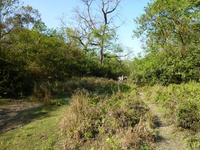 Wanderung im Chitwan NP
