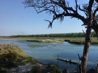 Wanderung im Chitwan NP
