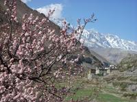 erste Wanderung von Jomson (2740) nach  Kagbeni (2810)