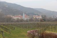 Blick auf Dürnstein Wachau 