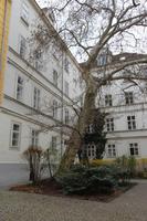 Stadtrundgang Wien