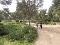 Wanderung zur Cala Agulla