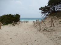Weg zum Meer