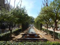 Palma