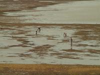 Ausflug nach Setubal