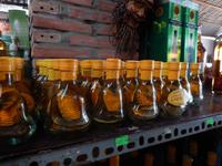 Schlangenschnaps