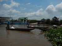Rudern auf dem Mekong