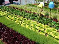 Floriade 2012 in Venlo