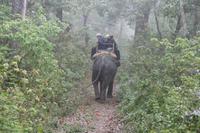 Elefantenritt im Chitwan-Nationalpark