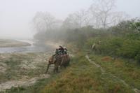 Elefantenritt im Chitwan-Nationalpark