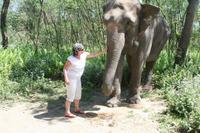 Wir dürfen den Elefanten auch füttern