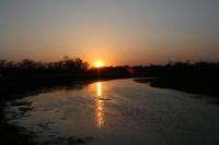 Sonnenuntergang im Chitwan-Nationalpark