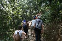 Auftsieg zur Friedenspagode