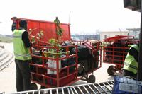 Gepäckausgabe am Flughafen in Kathmandu