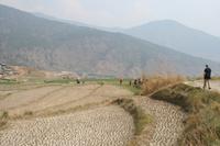 Auf dem Weg zum Verrückten Lama