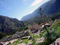 Heiligtum Delphi