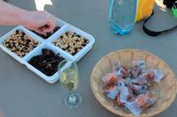 Picknick am Signal Hill