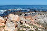 Wanderung am Kap der Guten Hoffnung