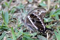 Unsere Hotelanlage in St. Lucia