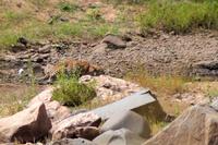 Krüger-Nationalpark