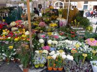 Campo dei Fiori