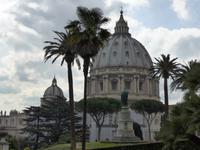 Blick auf die Kuppel von Vatikanischen Gärten aus