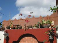 Camagüey - bei der Künstlerin Martha Jimenez