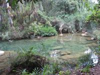 Wassertümpel im Parque Guanayara 