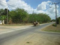 Der Verkehr auf den Straßen inKuba