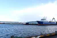 Reykjavik Hafen